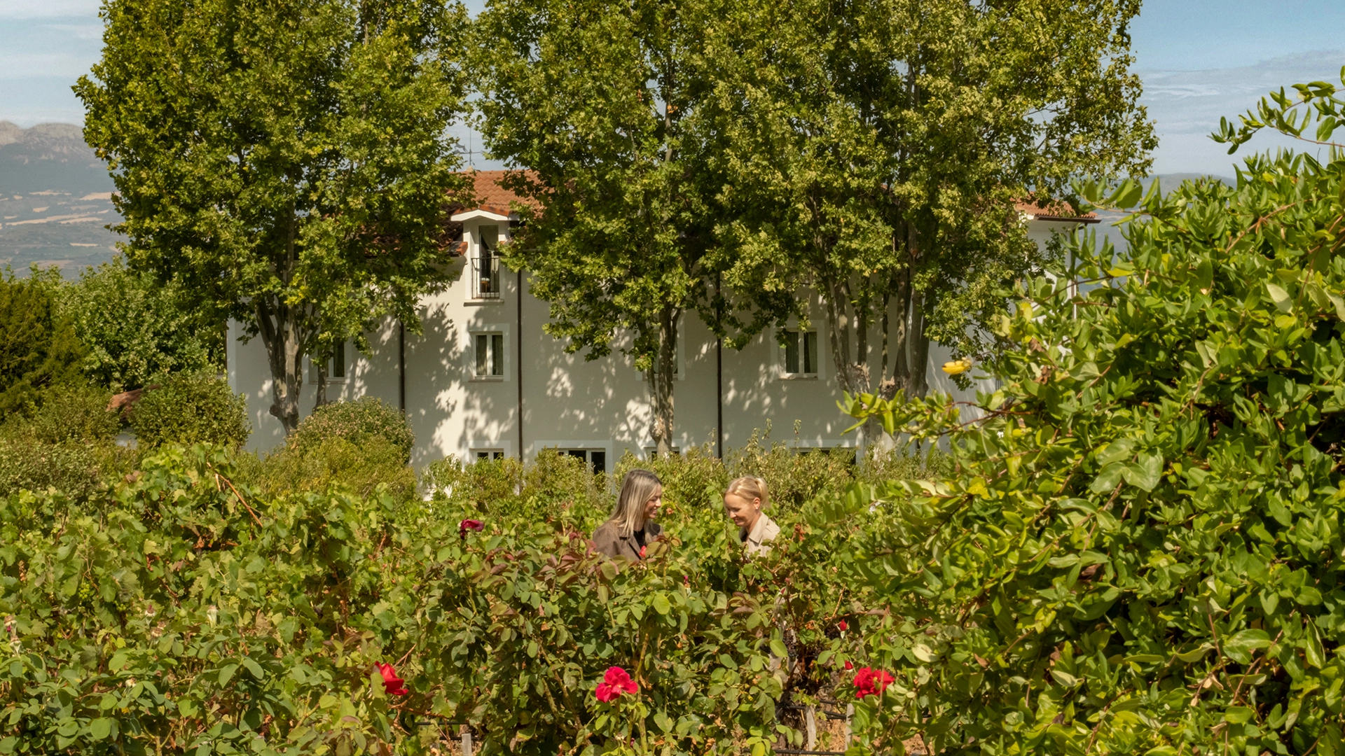 Image of the room