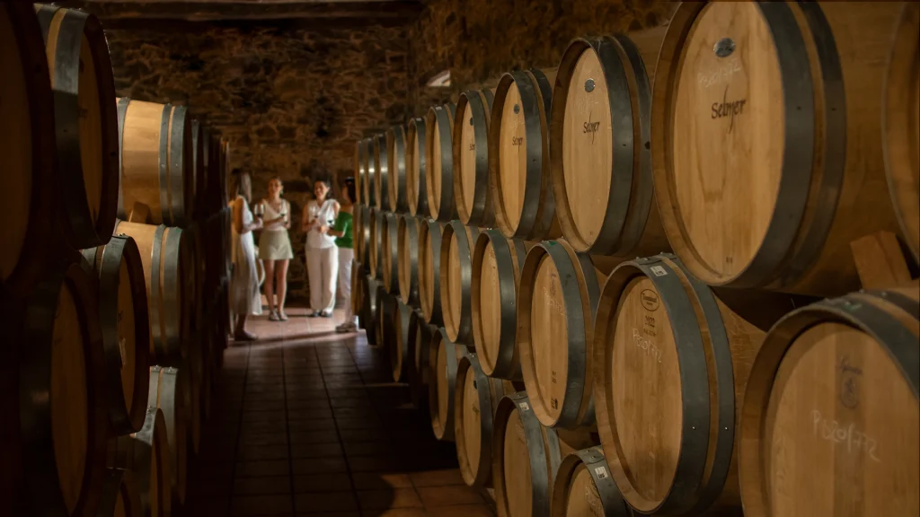 Viñedos y Bodegas Pittacum