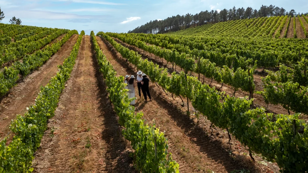 Bodegas Terras Gauda