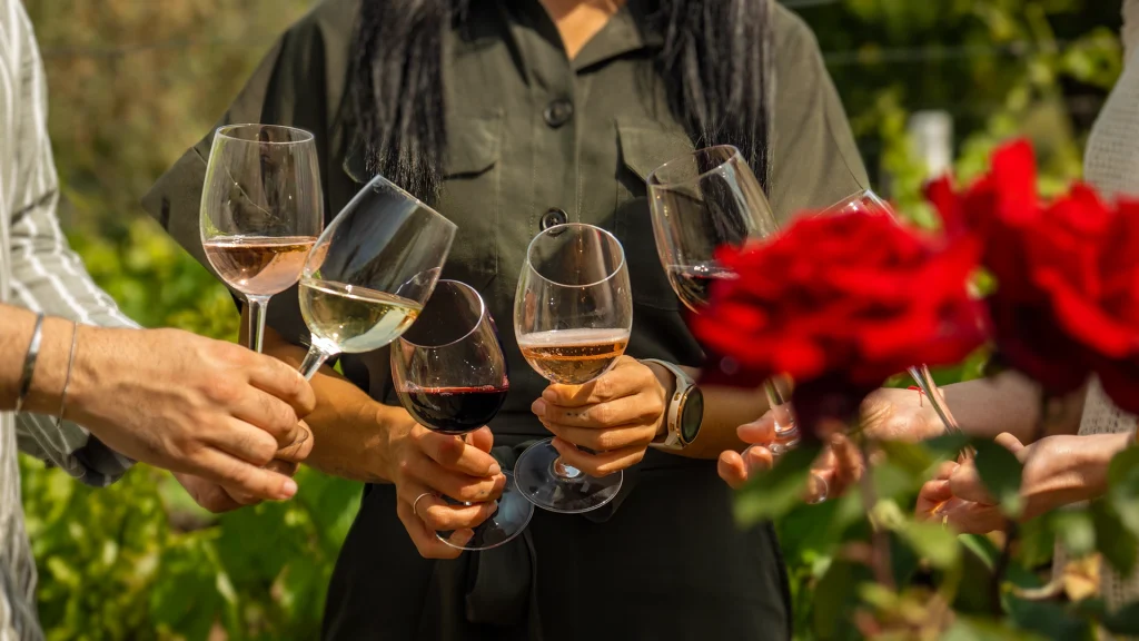 Bodega Win Sin Alcohol